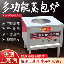 煜灿商用蒸包炉多功能电蒸炉蒸包子机燃气馒头蒸汽炉节能蒸米饭肠粉炉 商用多功能蒸包炉 燃气款单孔平底/无风机/不插电