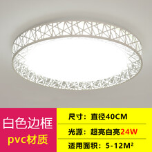 VOUTLED吸顶灯卧室灯现代简约大气客厅灯过道卫生间厨房阳台灯具 鸟巢40cm白光24W