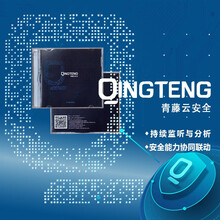 青藤万相 主机自适应安全套件企业版(300台/年)许可—适用于企业风险发现漏洞修复 互联网企业漏洞扫描神器