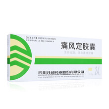 升和 痛风定胶囊 0.4g*24粒 清热祛湿活血通络定痛治疗痛风 1盒装