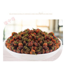 康中尊青海特产纯野生昆仑天山胎菊80g 菊花茶花草茶 开水泡茶雪菊