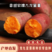 龙九红薯黄心蜜薯农家新鲜地瓜现挖现发  3斤装