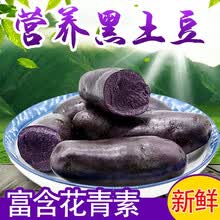 紫土豆新鲜蔬菜黑土豆5斤乌洋芋现挖马铃薯大小紫土豆种球 2500g