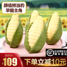 【顺丰秒发】九分饱水果包儿童早餐包子儿童蔬菜早餐食品营养组合宝宝纯手工馒头果蔬香蕉 玉米包*4包(16个)