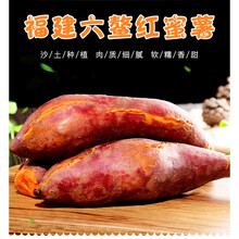福建六鳌沙地红蜜薯5斤糖心板栗红薯新鲜红心小香番薯地瓜整箱10 5斤