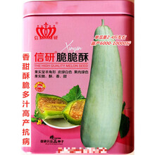 信研脆脆酥羊角蜜种子香甜酥脆多汁高产抗病农家春秋播种精选甜瓜 信研脆脆酥原装20克x10罐