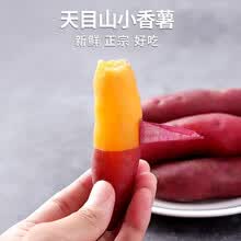 临安天目山小香薯地瓜板栗红薯新鲜现挖蔬菜根茎类生鲜小番薯健康轻食 【精选大号】小香薯5斤