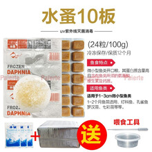 冷冻红虫冰冻血线虫牛心汉堡丰年虾干鹦鹉罗汉七彩神仙龙鱼食饲料 10板水蚤