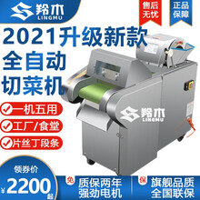 羚木 电动切菜机商用多功能食堂用蔬菜切菜机切小米椒全自动土豆切片切丝机切菜器切丁机酸菜切丝机切桑叶机 660型豪华升级款无机头