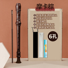 天鹅竖笛6孔高音C调德式乐器初学入门8孔小学生儿童六孔八孔笛子 摩卡棕【6孔】+全套赠品