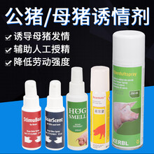 耐尔尼 母猪诱情剂猪用诱情喷雾兽用促情剂公猪气味剂母猪发情剂 35ML公猪用