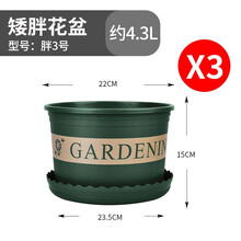 意尔嫚 加仑塑料花盆矮款3件装3加仑 家用办公阳台种植多肉花卉绿萝绿植树脂加仑塑料简约圆形花盆 送托盘