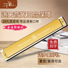 德国进口音簧天鹅28孔复音口琴专业演奏级重音高级成人儿童初学者学生入门乐器 金色重音C调