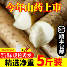 顺丰铁棍山药小白嘴白山药新鲜蔬菜铁杆淮山药3斤5斤 5斤山药40-50cm顺丰