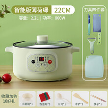 FEDAIR全自动电炖锅家用多功能煮粥神器2人3人快速熬煮粥煲粥稀饭锅 薄荷绿【智能款】22cm麦饭石 +刀具4件套