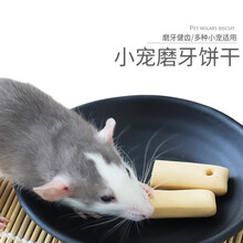 小囧家 仓鼠磨牙棒蜜袋鼯磨牙饼干花枝鼠松鼠补钙健齿奶香小零食用品1枚刺猬龙猫零食用品饲料食物 磨牙棒 1根