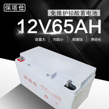 保塔仕UPS电源电池胶体免维护蓄电池12V65AH不间断电源EPS直流屏用