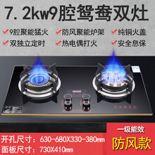 日本樱花煤气灶双灶家用天然气嵌入式台式液化气燃气灶九枪猛火灶OL 猛火7.2kw九头鸳鸯顶配款双定时 液化气