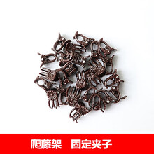 爬藤花架圆柱园艺支架阳台绿萝月季藤本植物攀爬铁艺支柱撑蟹爪兰 夹子10个