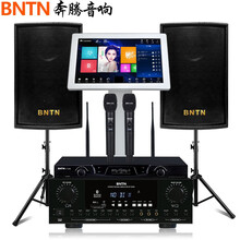 奔腾（BNTN）家庭KTV音响点歌机套装卡拉OK无线U段话筒麦克风客厅小型唱歌k歌会议室演出8200配豪庭黑