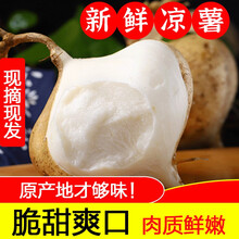 广西凉薯新鲜现挖白地瓜农家特产清甜水果沙葛 3斤 优质好果