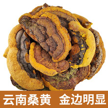 【精选】高品质西藏桑树桑黄 赤紫灵芝整个正宗长白山中药材肺部节西藏桑黄捛招山灵芝 云南桑黄250g