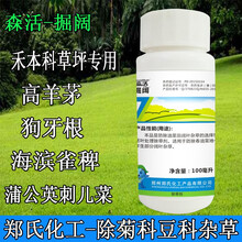 森活 掘阔 郑氏化工30%二氯吡啶酸园林高羊茅狗牙根禾本科草坪除蒲公英刺儿菜菊科豆科菊斗杂草除草剂 100ml/瓶*1瓶
