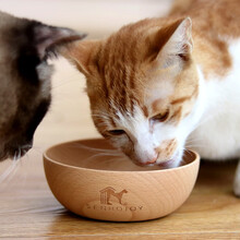 尚昊佳 猫粮狗粮实木碗德国进口榉木狗粮猫粮碗实木猫家具 96822S 榉木碗 自然色