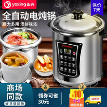 永兴电炖锅不锈钢304分体多用途双炖陶瓷隔水炖盅预约定时煲汤煮粥炖柠檬膏家商用  160W（适合15-20人）16L钢胆+6L炖盅