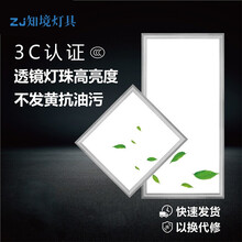 led集成吊顶灯300x600吸顶灯嵌入式铝扣板平板灯30*30厨房卫生间面板灯 30x30超亮 -20W 进口光源（限购一个）