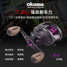 宝熊 Okuma 鱼线轮 京东