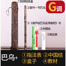 乐器 紫竹巴乌 横吹乐器 可选初学入门资料  F/G调ONEVAN g调+指法表+中国结+盒子+教材《葫芦丝巴乌实用教
