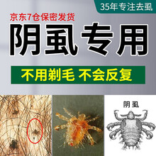 【专去阴虱35年】亮友虱立净阴虱药去除虱子药儿童头虱灭虫卵百部酊男私处床虱杀虫剂