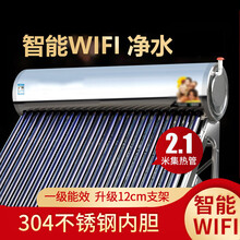 标努 太阳能热水器家用全自动一体新型智能配件真空管农村太空能 (高配42管-单机)