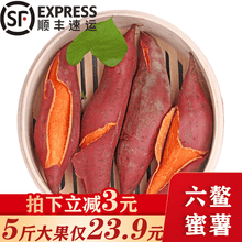 【顺丰】福建六鳌蜜薯 沙地红薯 地瓜 番薯 香甜软糯 新鲜 5斤大果实惠装（2件合发9斤/带箱）