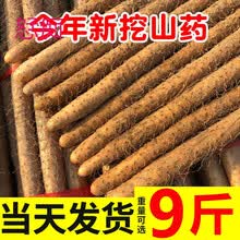 小白嘴白山药铁棍山药新鲜蔬菜铁杆淮山药5斤 胜河南焦作温县垆土 小白嘴山药 30-40五斤【断节】