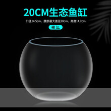 鱼缸玻璃创意圆形水培透明客厅办公室桌面小型金鱼迷你小鱼缸 20cm球形鱼缸【无赠品】
