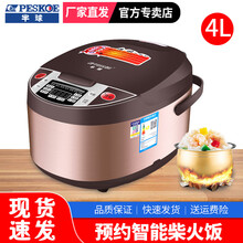 半球（PESKOE）电饭煲小3人家用智能球釜胆4升电饭锅预约多功能5L （3-5人用）4L升级可预约 球釜胆【2年换新】