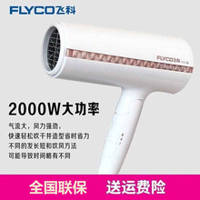 飞科（FLYCO） 电吹风 家用大功率吹风筒可折叠便携式吹风机冷热风FH6228