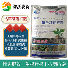 农用枯草芽孢杆菌根腐病枯萎病土壤病害专用杀菌剂根腐宁 一箱（500g*20袋）