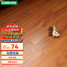 欧肯（O.KEN） 强化复合家用 12mm环保地板防水耐磨客厅卧室现代地暖复合木地板 拉丝纹3119包安装