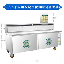 雅乐环保无烟烧烤车平吸风款商用大型木炭烤炉净化摆摊移动烧烤架 2.5米四组八层+活性炭棉 轻奢款