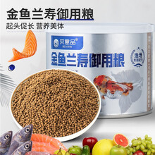 贝意品金鱼兰寿饲料观赏鱼热带鱼小型鱼高蛋白起头增艳小颗粒鱼粮下沉不浑水泰狮狮子头专用鱼食 金鱼兰寿饲料500ml（300g）