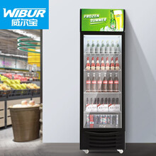 威尔宝WIBUR 展示柜冷藏柜商用饮料柜单门便利店超市冰柜水果啤酒冷饮柜冰箱直冷 BGR-L300H