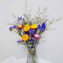 远方的花 雏菊干花花束 雏菊干花小花束（随机颜色发货）