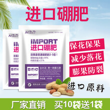 进口硼肥叶面肥水溶肥农用果树保花保果微量元素硼肥辣椒番茄黄瓜 2袋【400g/袋】