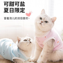 猫咪衣服夏季薄款背心英短蓝猫防掉毛透狗防晒夏款宠物猫服饰 粉色兔子 L(胸围44背长38)