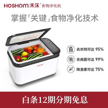 保食安禾莯BSA-HJ805果蔬机食物净化机净食机去农残降激素餐具奶瓶杀菌食材食品净化机器 净化机