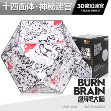 【燃烧吧大脑】3d立体耐摔魔方迷宫走珠儿童智力开发益智训练动脑玩具10专注力8思维训练6岁男孩闯关 3D魔方立体迷宫【14面体】神秘迷宫（送2礼）