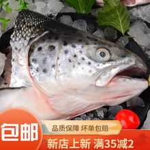 虹鳟三文鱼头鱼头超大冰鲜海鲜水产鲜活烧烤炖汤食材鱼头 黎麦跃堡 当天现切三文鱼头(不去腮) 精选(单只400-500克)10只装